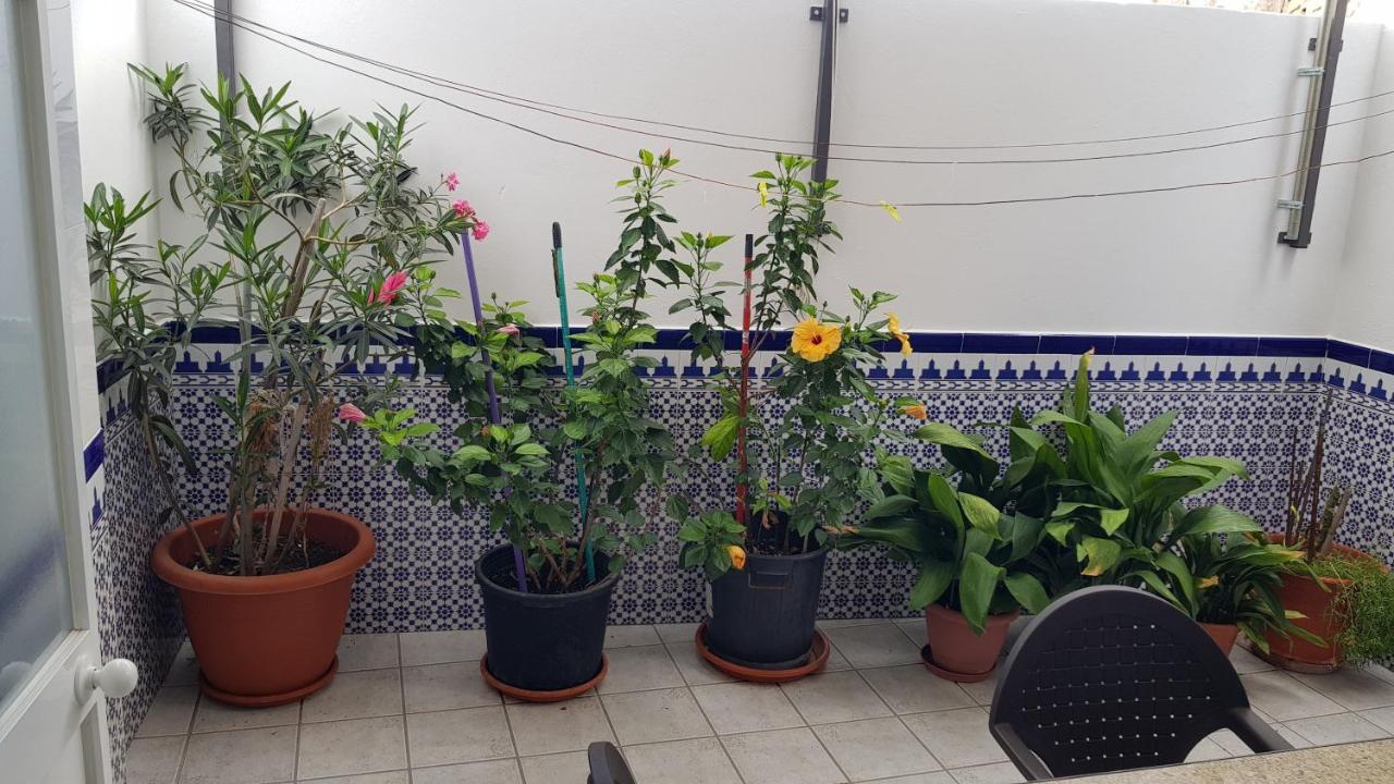 Apartamento Callejuela Las Flores Daire Algodonales Dış mekan fotoğraf